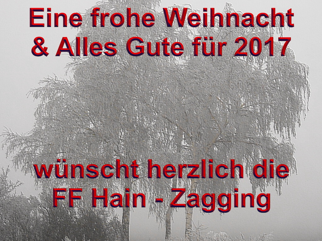 Weihnachtswunsch16