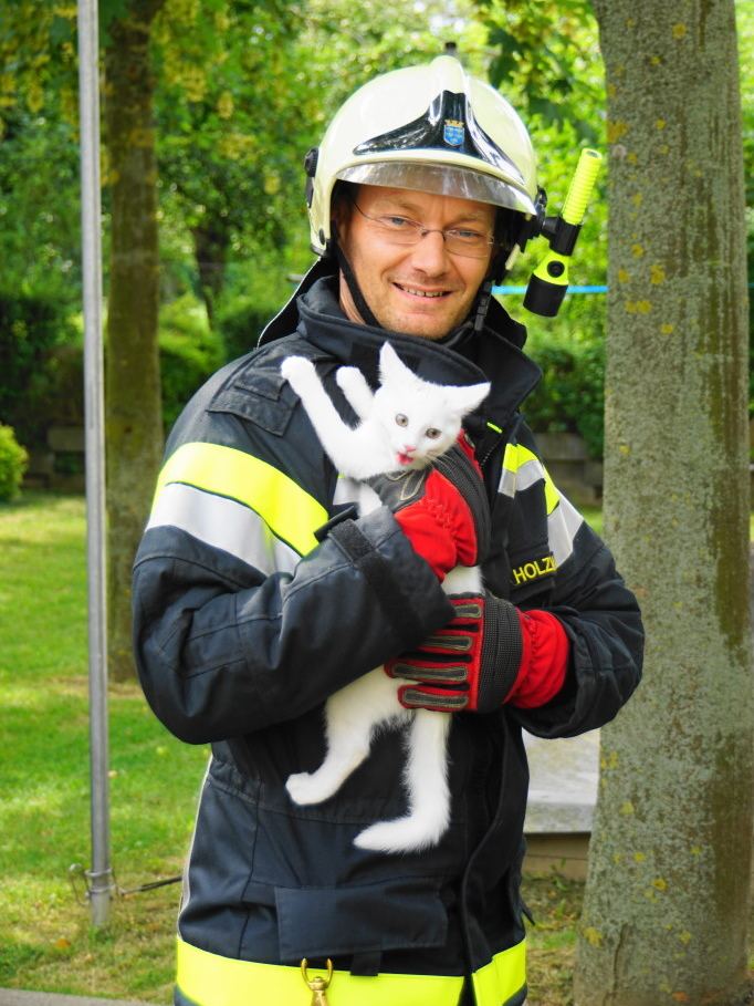 Verzwickte Katze gerettet!