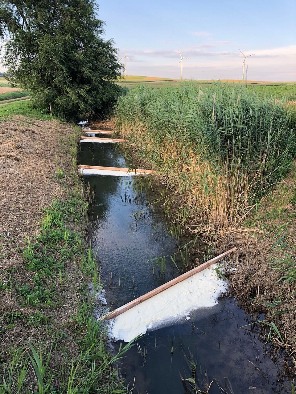 Öl in der Fladnitz
