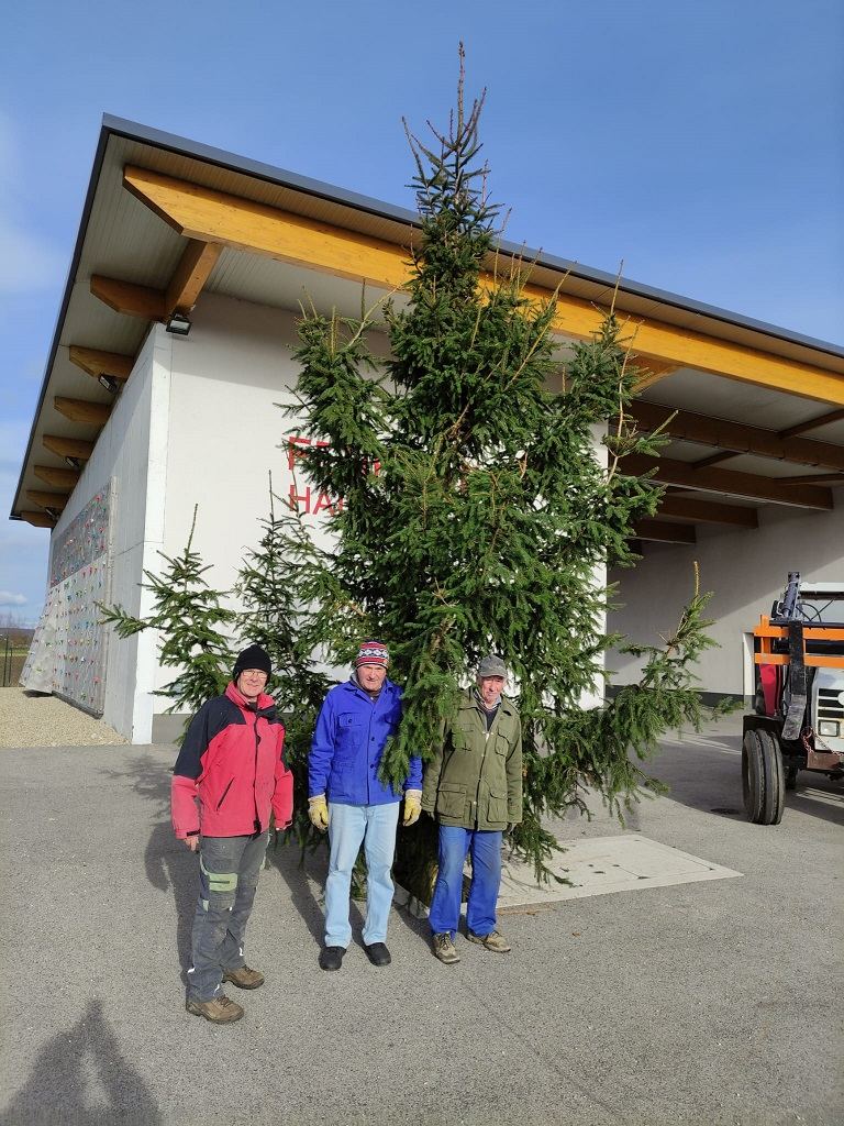 Christbaum 2023 aufgestellt