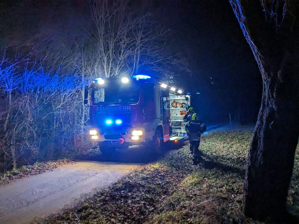 Sturmschaden am Fladnitzbegleitweg